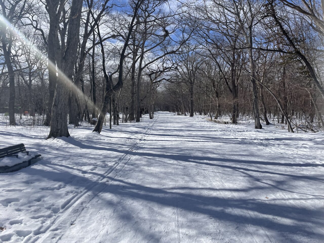 青葉公園