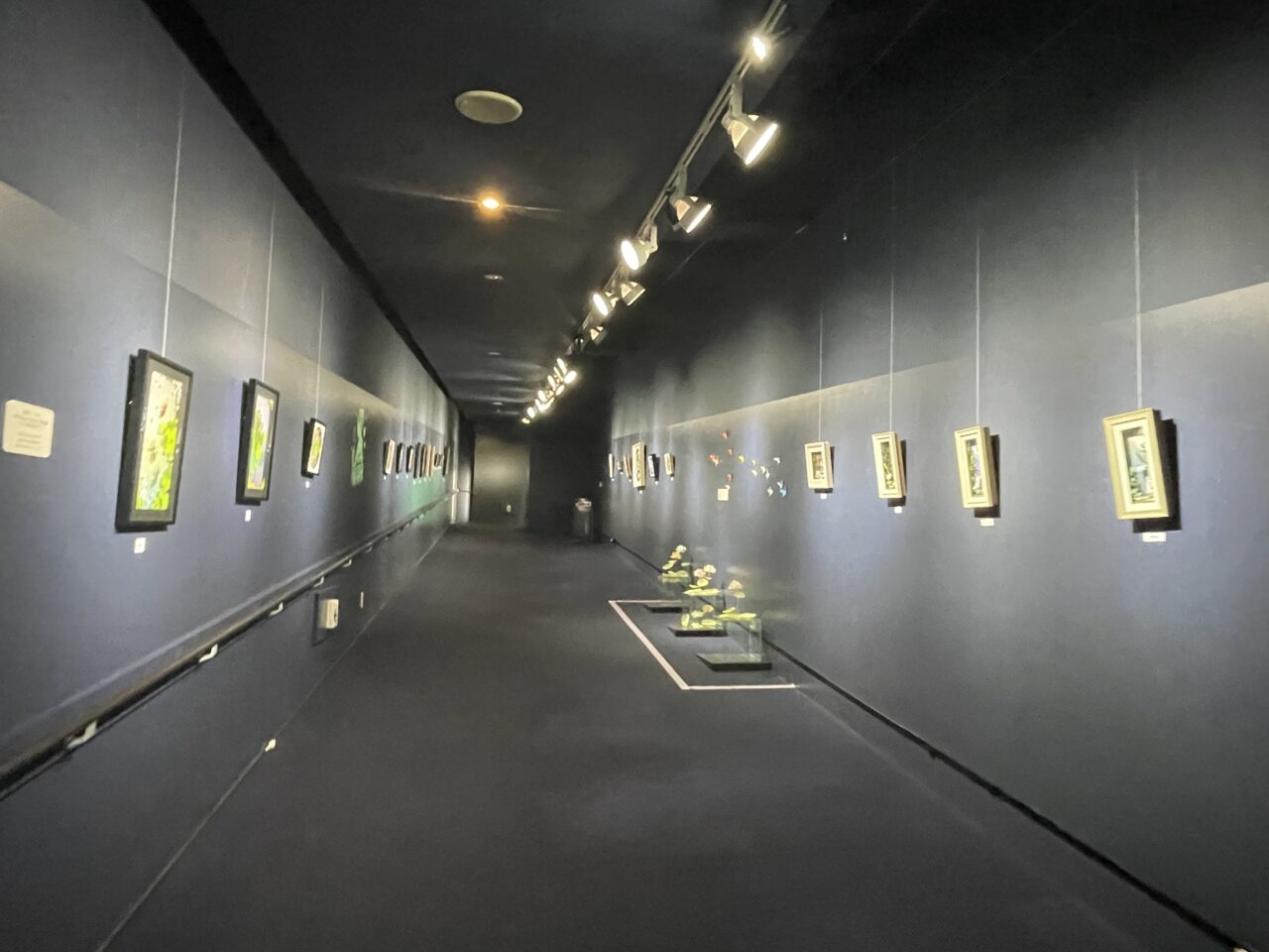 作品展示