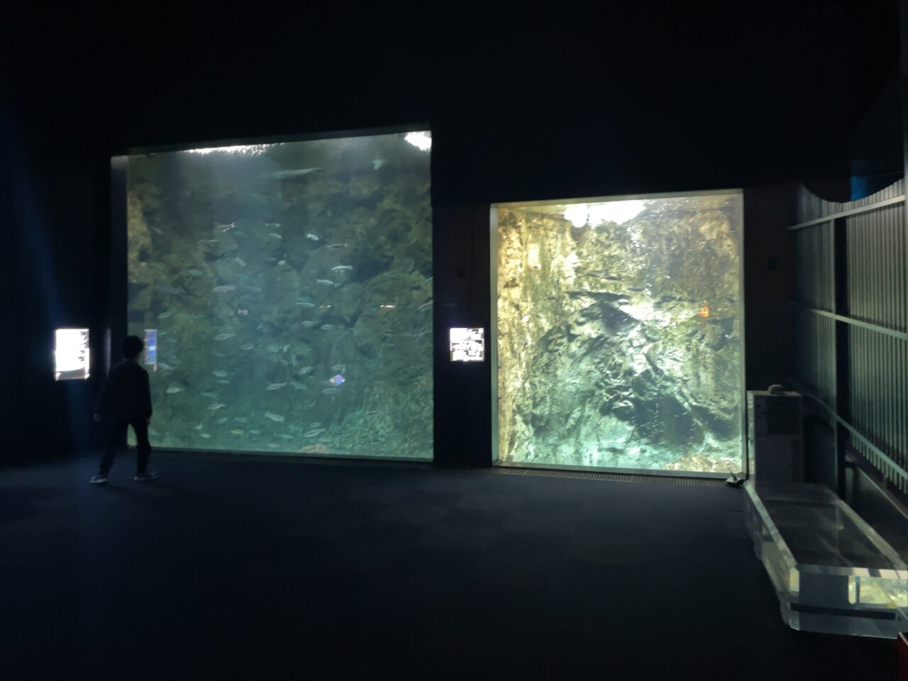 千歳水族館の水槽