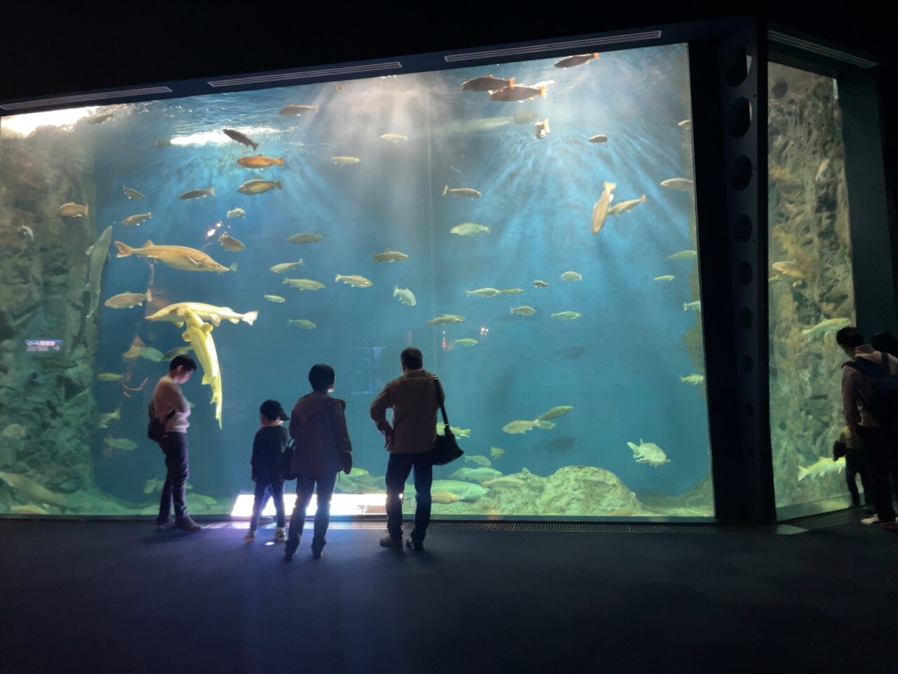 千歳水族館内