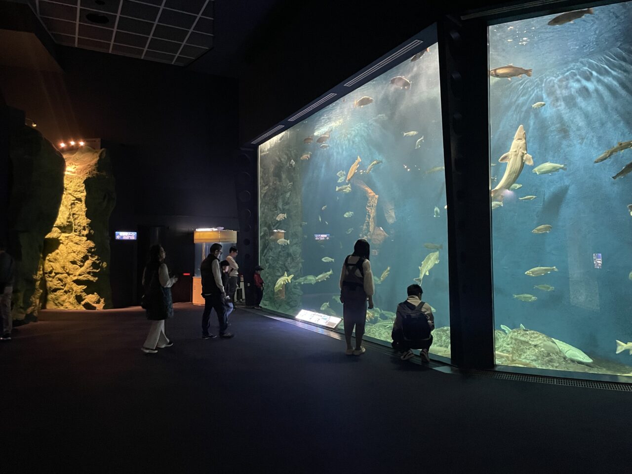 千歳水族館