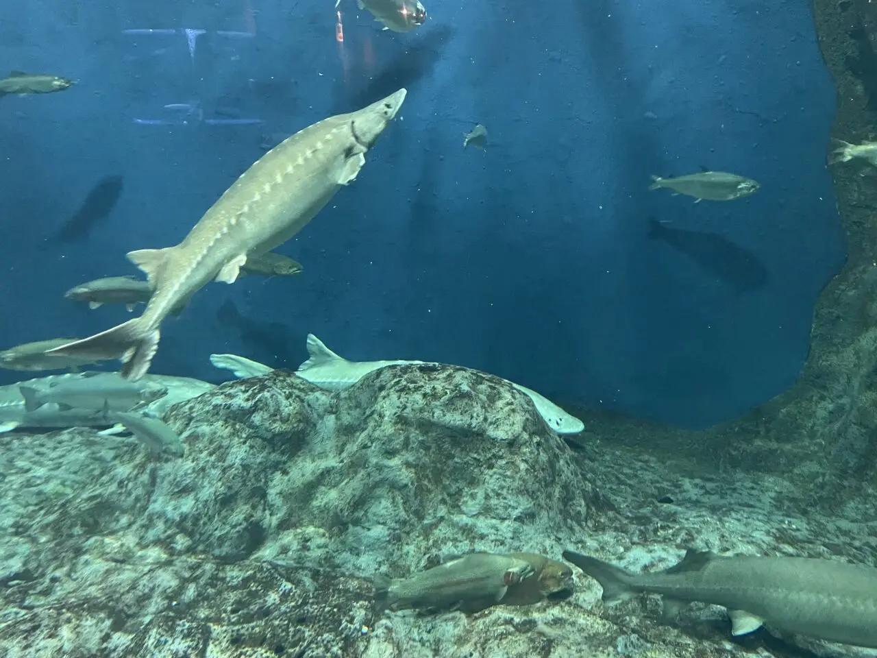 水族館
