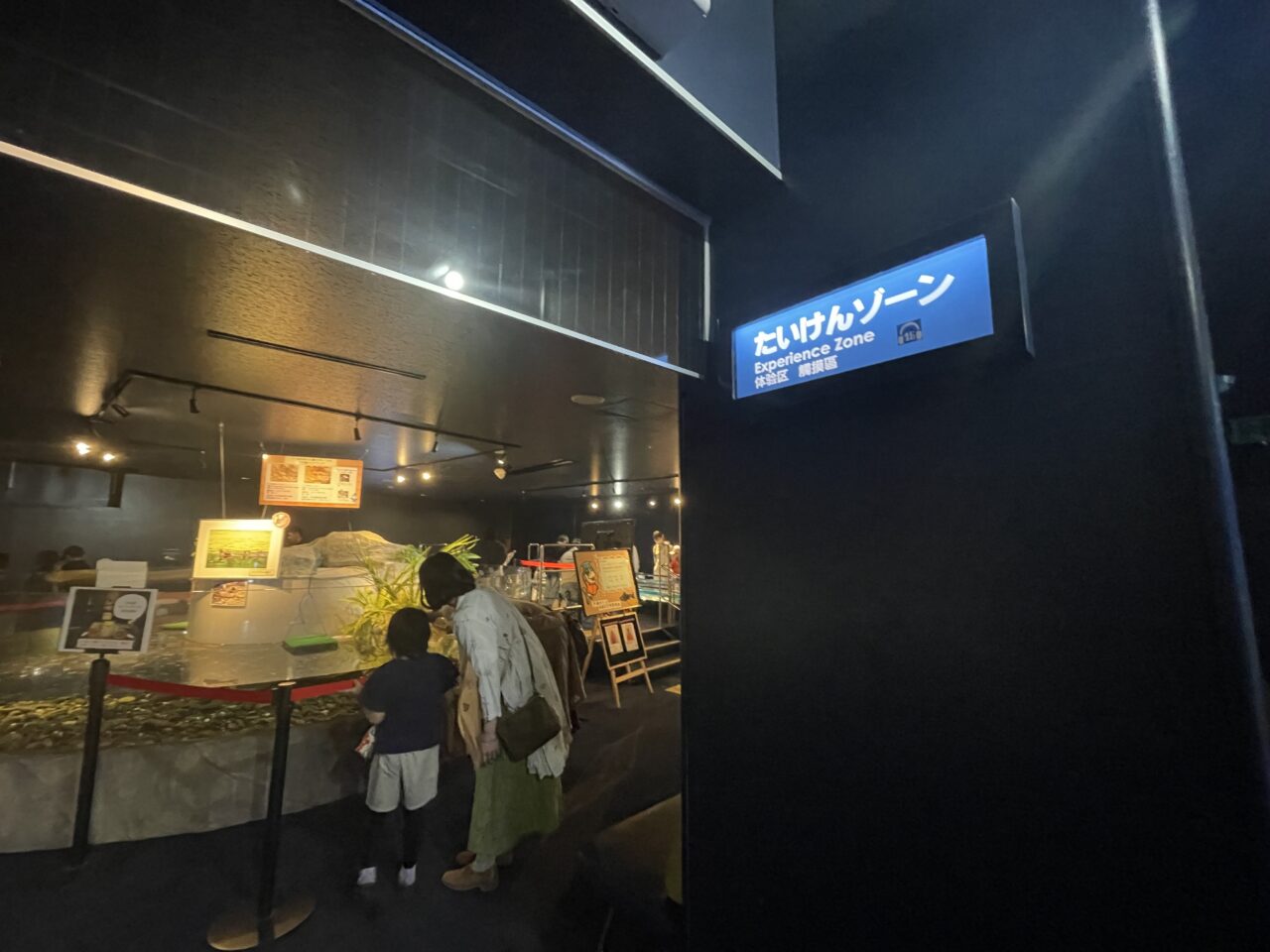 体験ゾーン