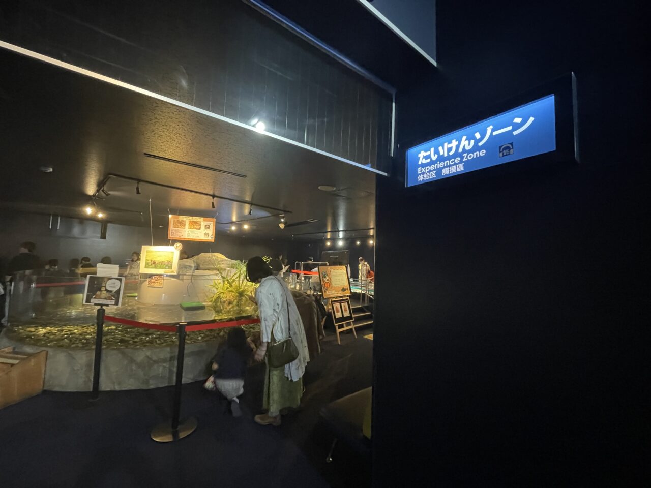 千歳水族館の体験ゾーン