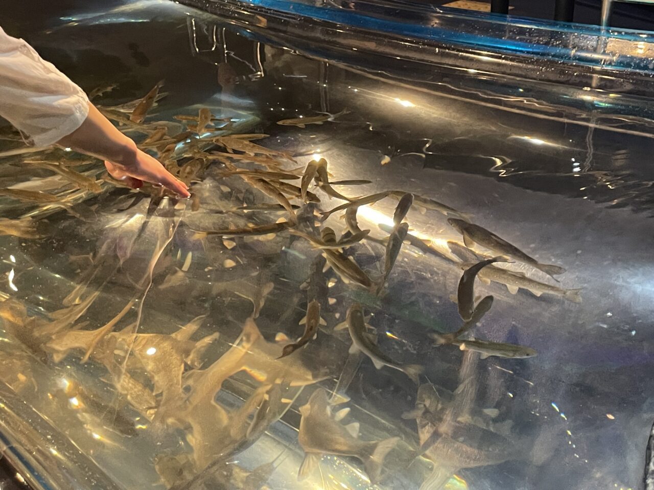 体験コーナー
