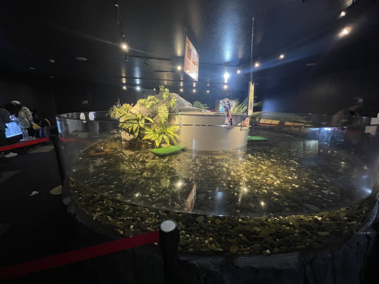 千歳水族館