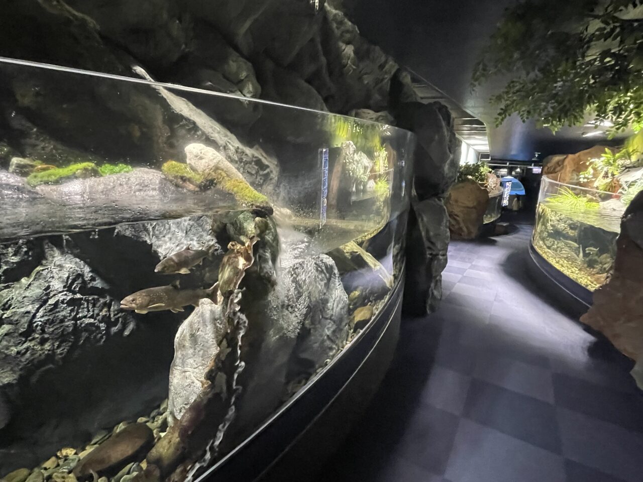 千歳水族館の館内