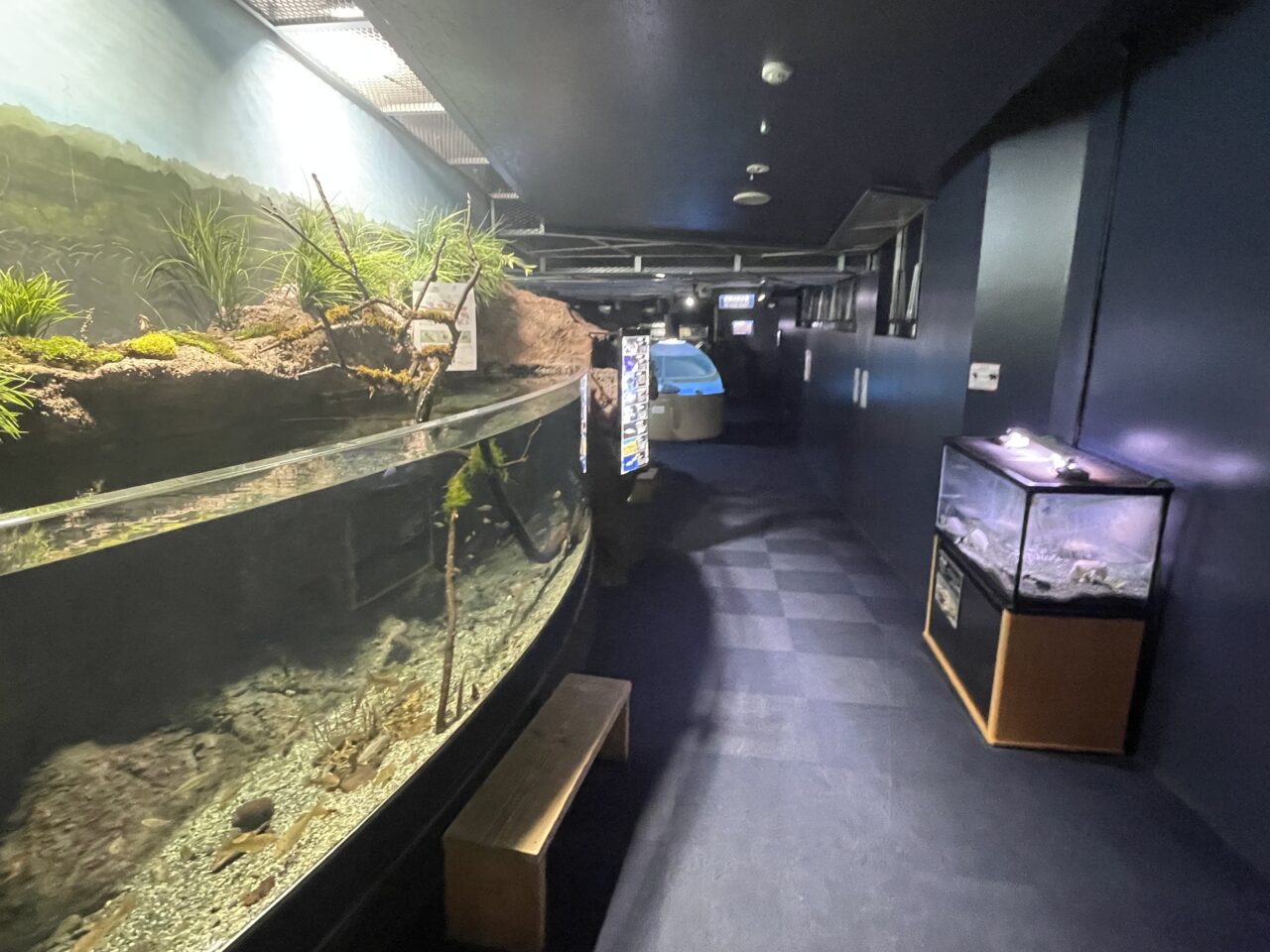 千歳水族館の館内の様子