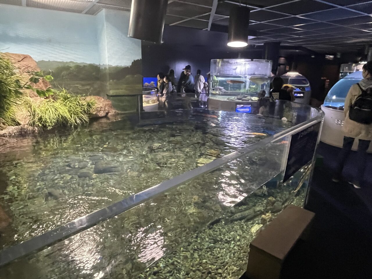 千歳水族館