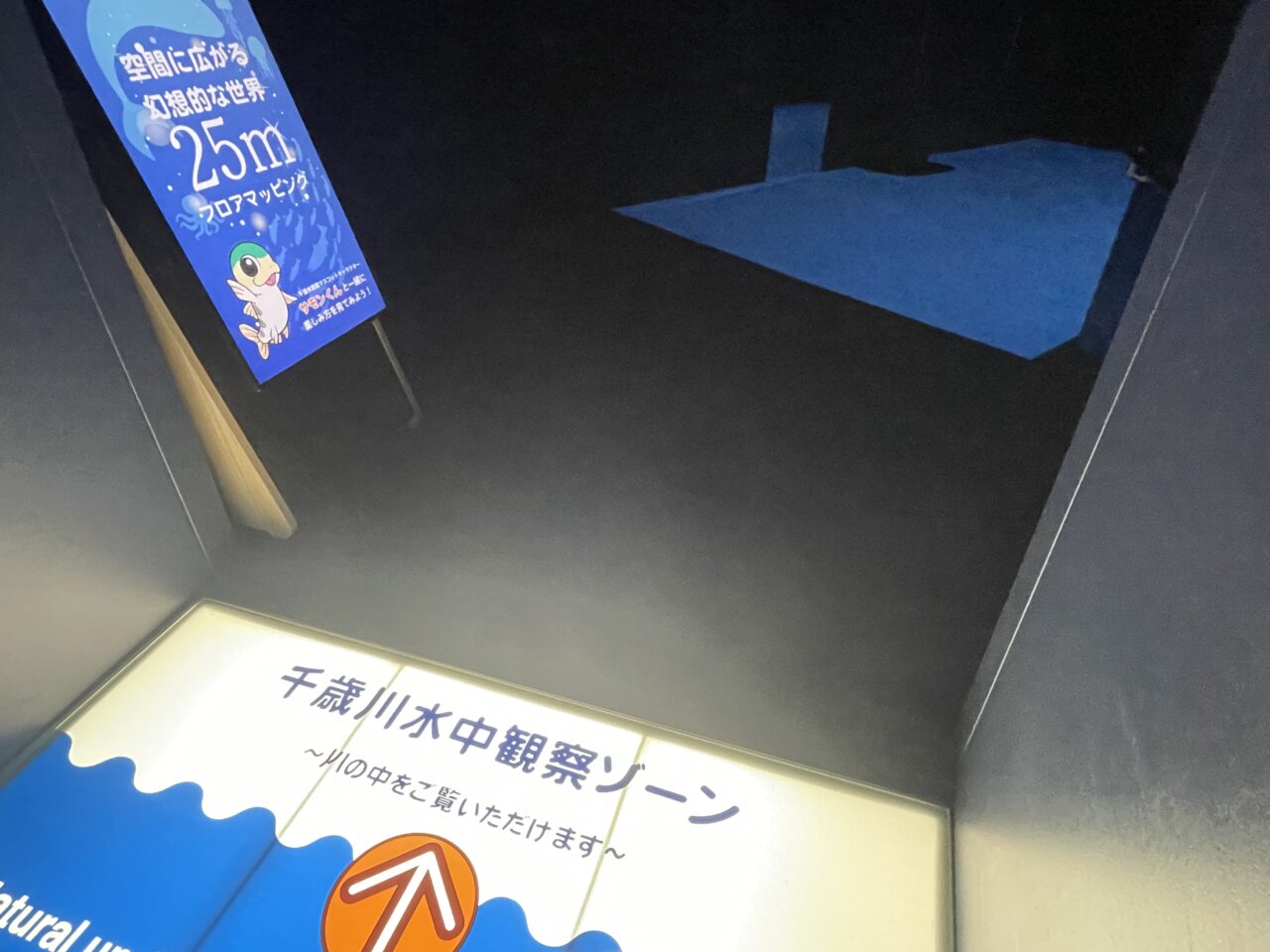 水中観察ゾーン