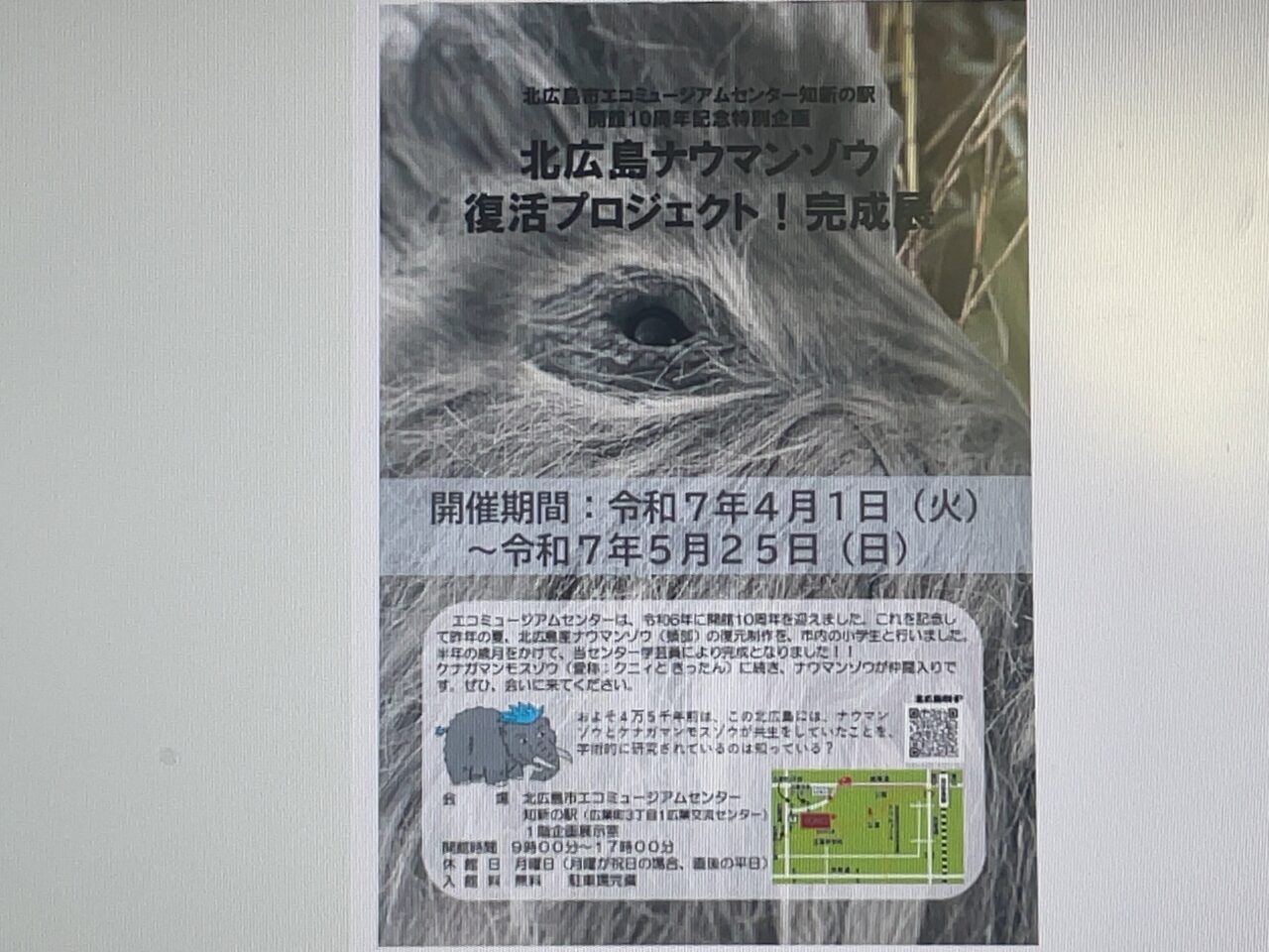 展示会のチラシ