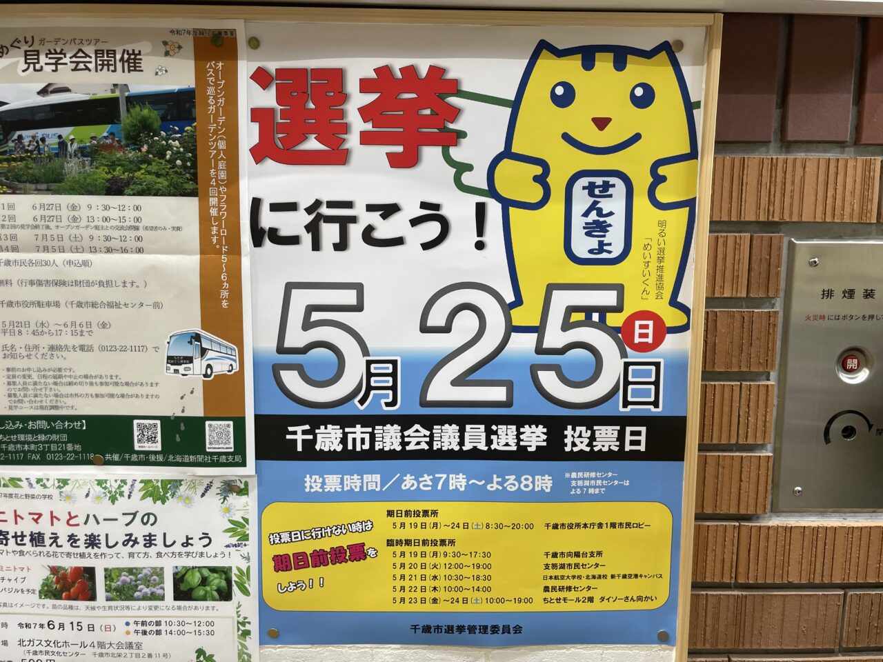 選挙のチラシ