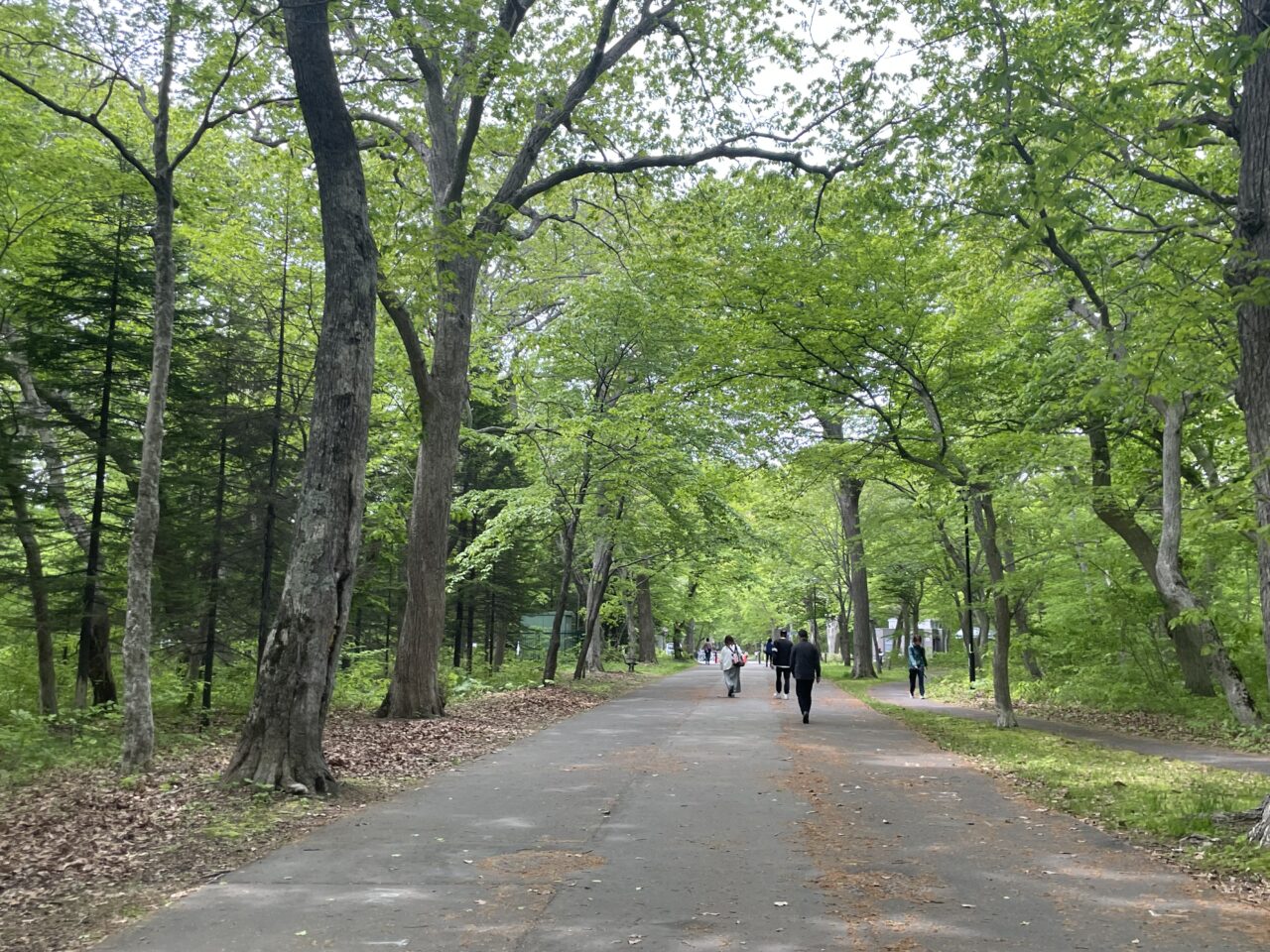 青葉公園