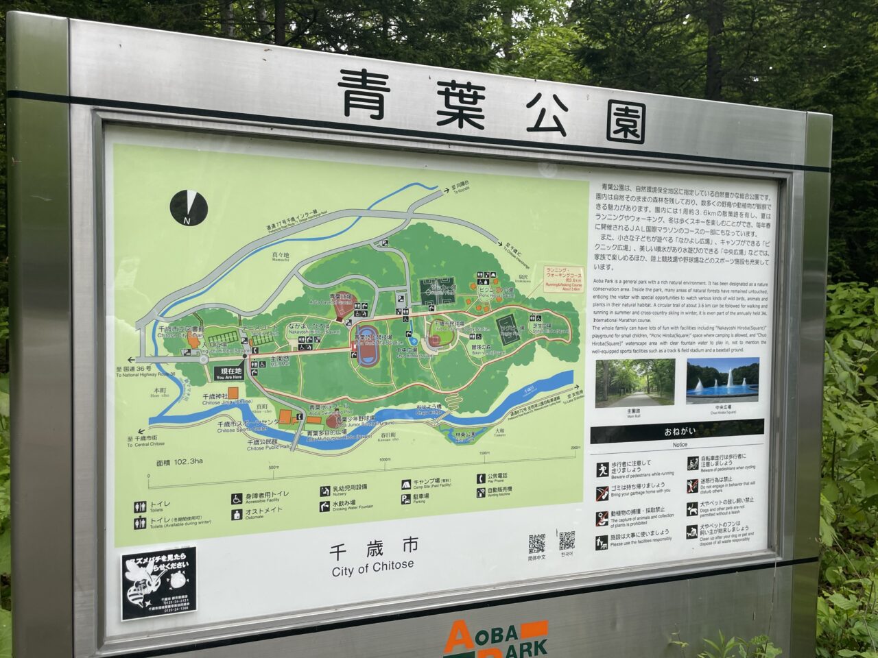 青葉公園の地図
