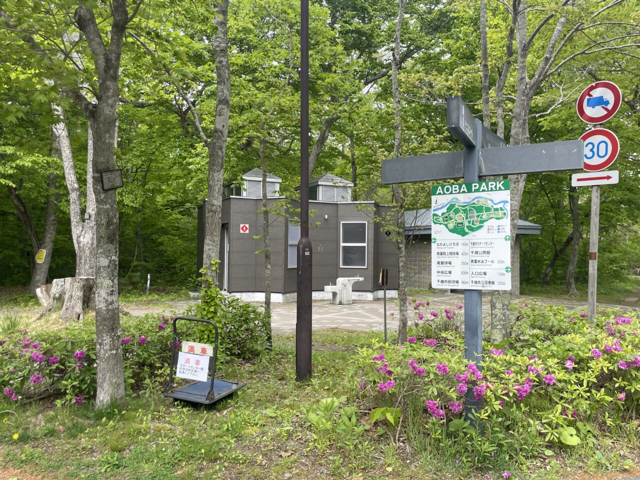 青葉公園内の様子