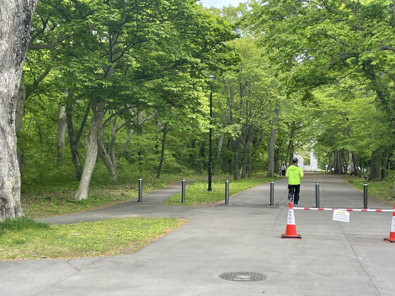 青葉公園でジョギングする人