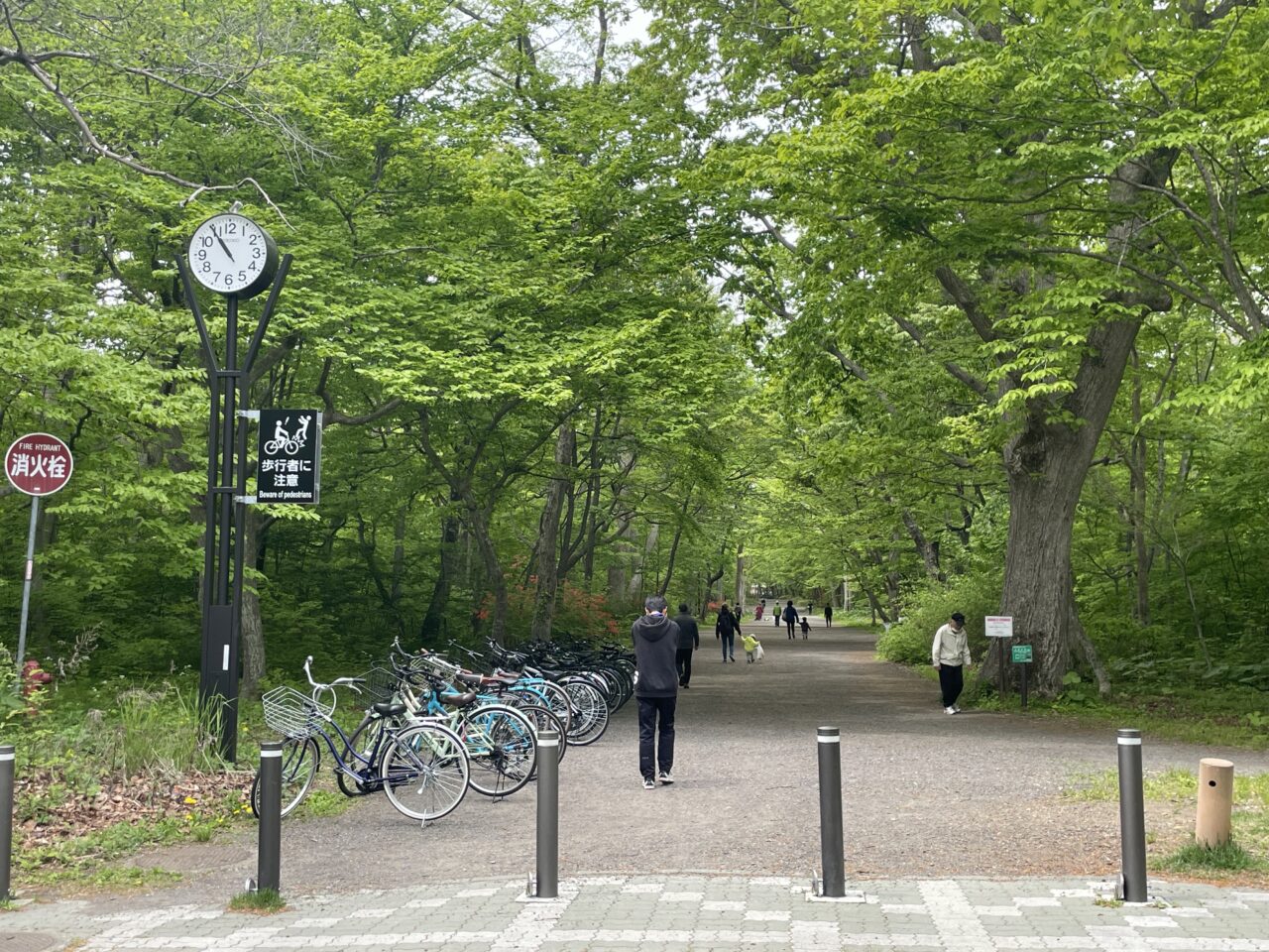 青葉公園内