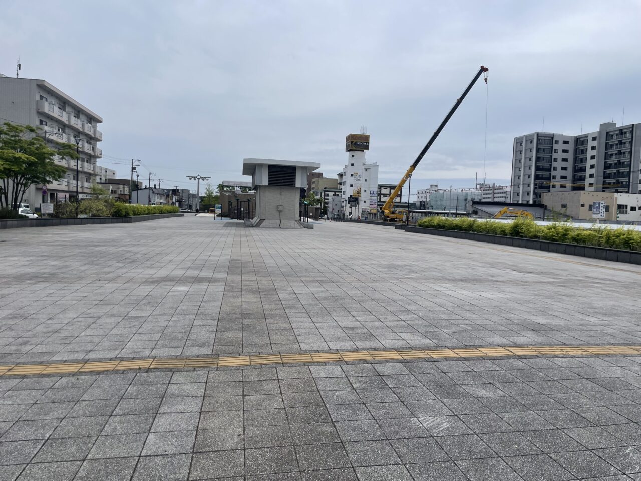 グリーンベルトの様子