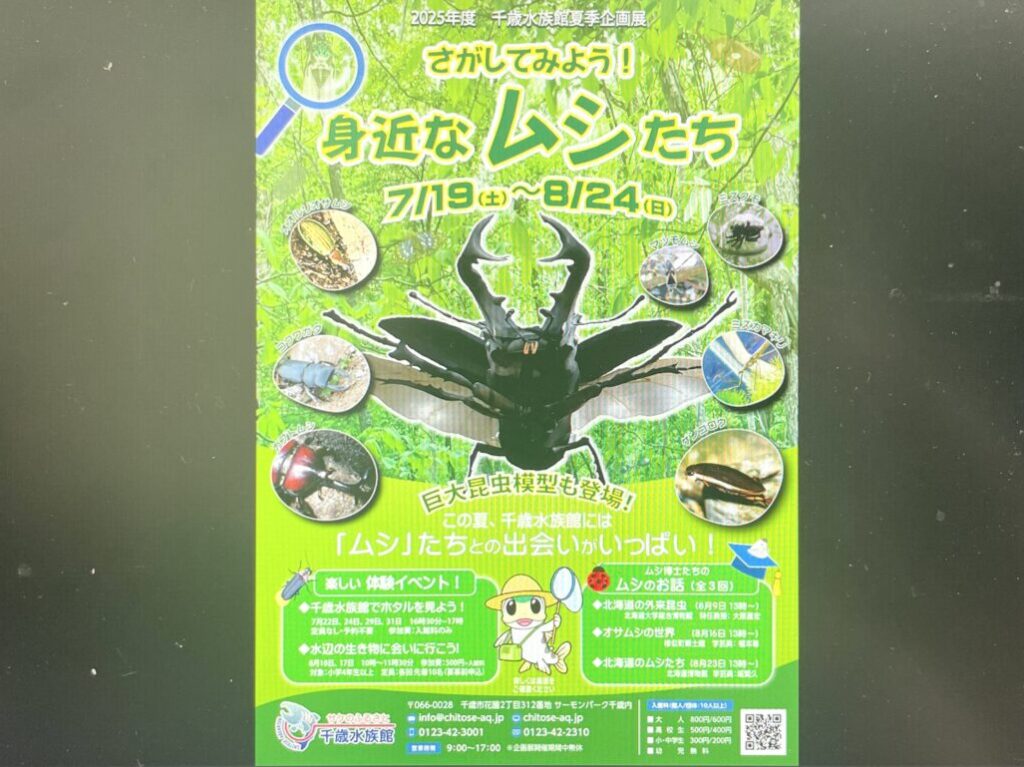 虫に関するイベント