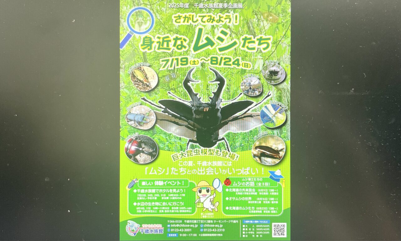 虫に関するイベント