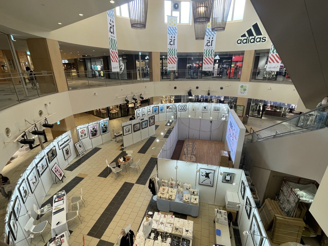 展示の様子