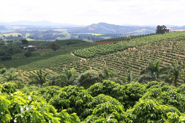 ブラジル風景