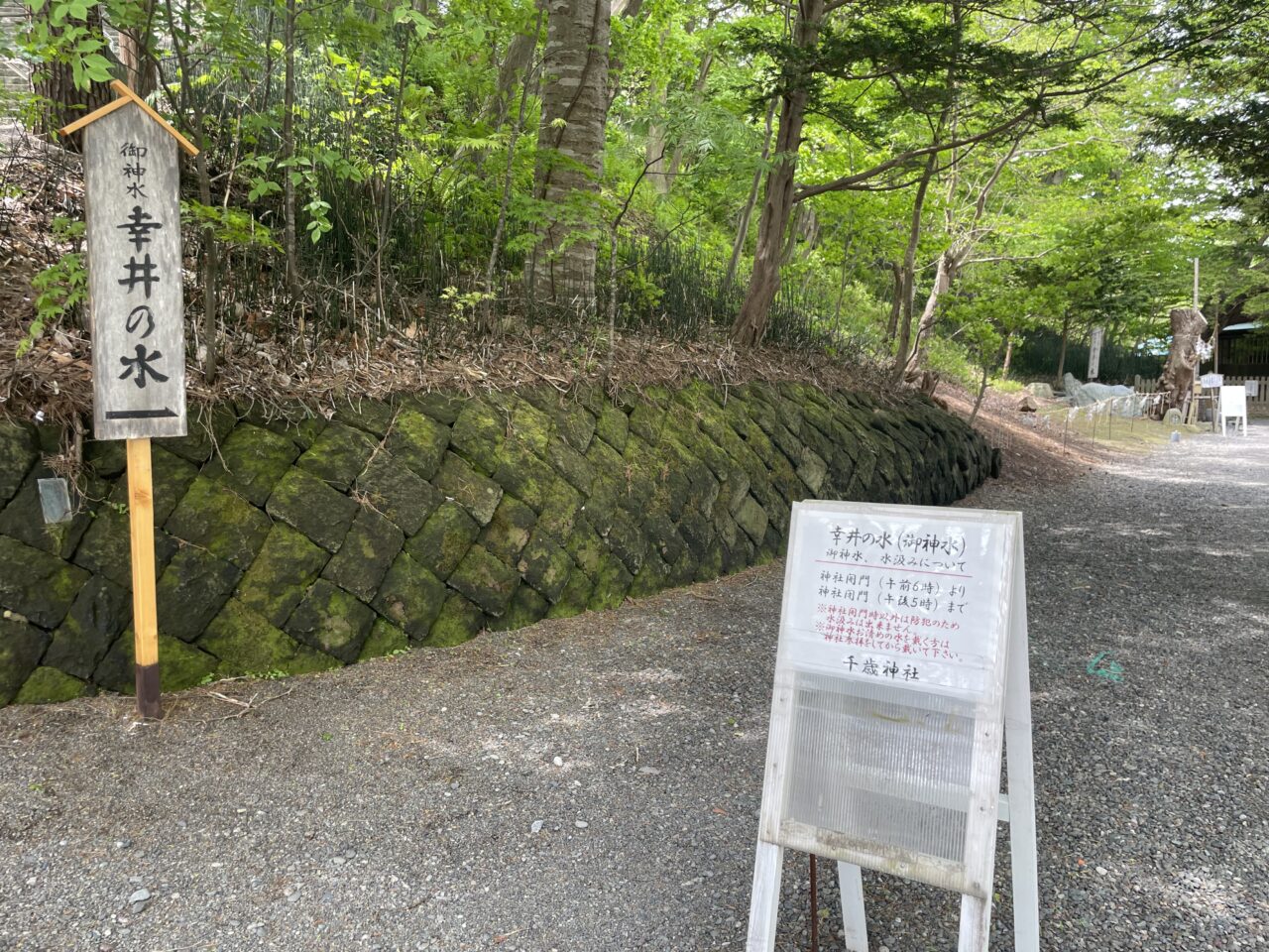 沿道